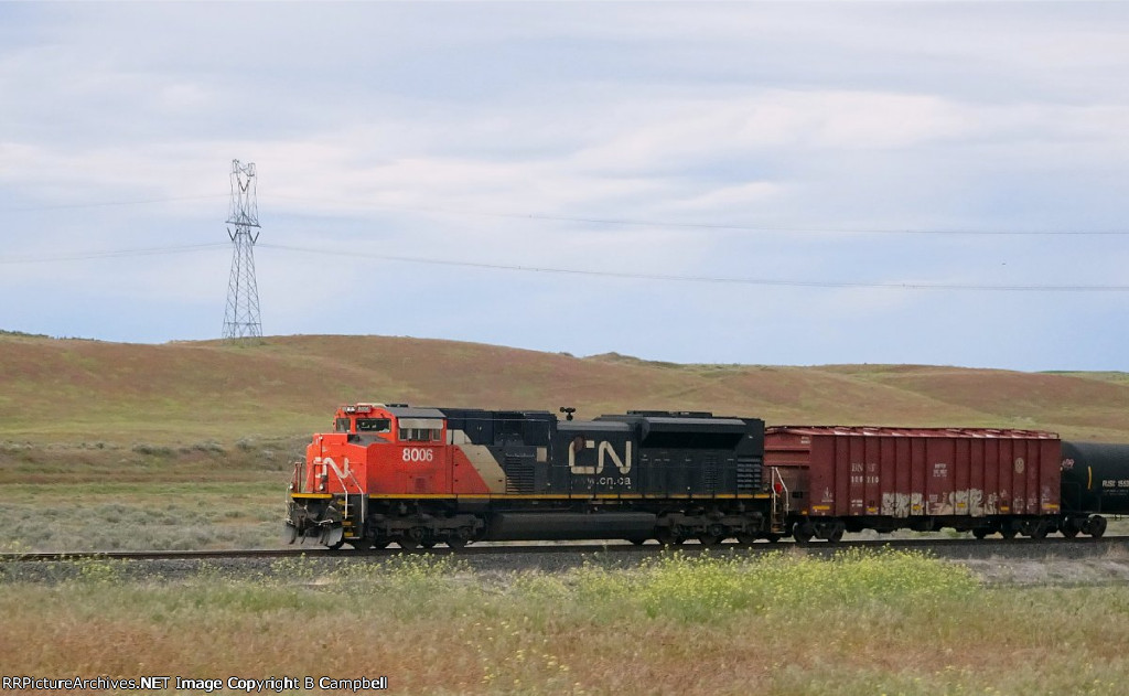 CN 8006